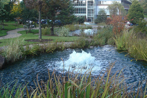Otterbine High Volume  - Schwimmende Belüfter