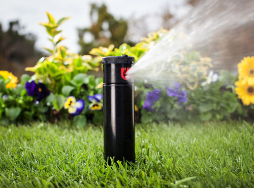 i-20-06_hi_111114-251_rt