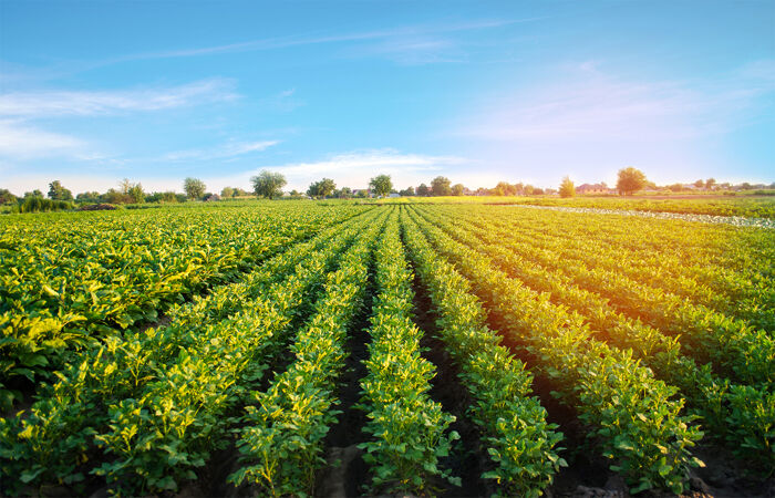 Agriculture 1400x900