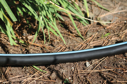 Blue-Stripe-Beauty-Shot_proof
