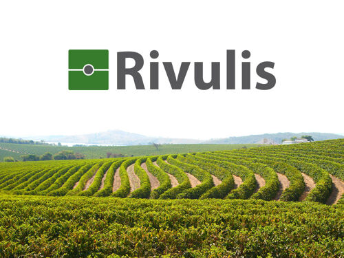 Rivulis_Featured-Image