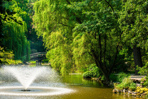 shutterstock_111040421_Sunburst_Japanese Garden_no person