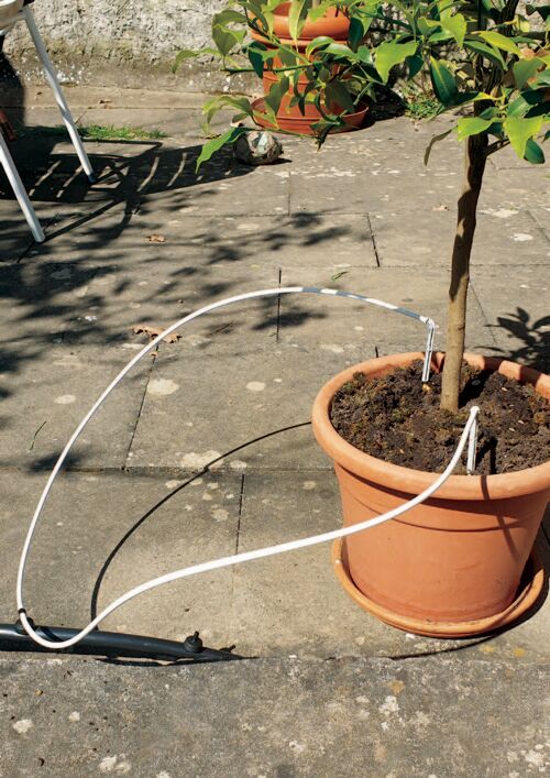 Microbewatering