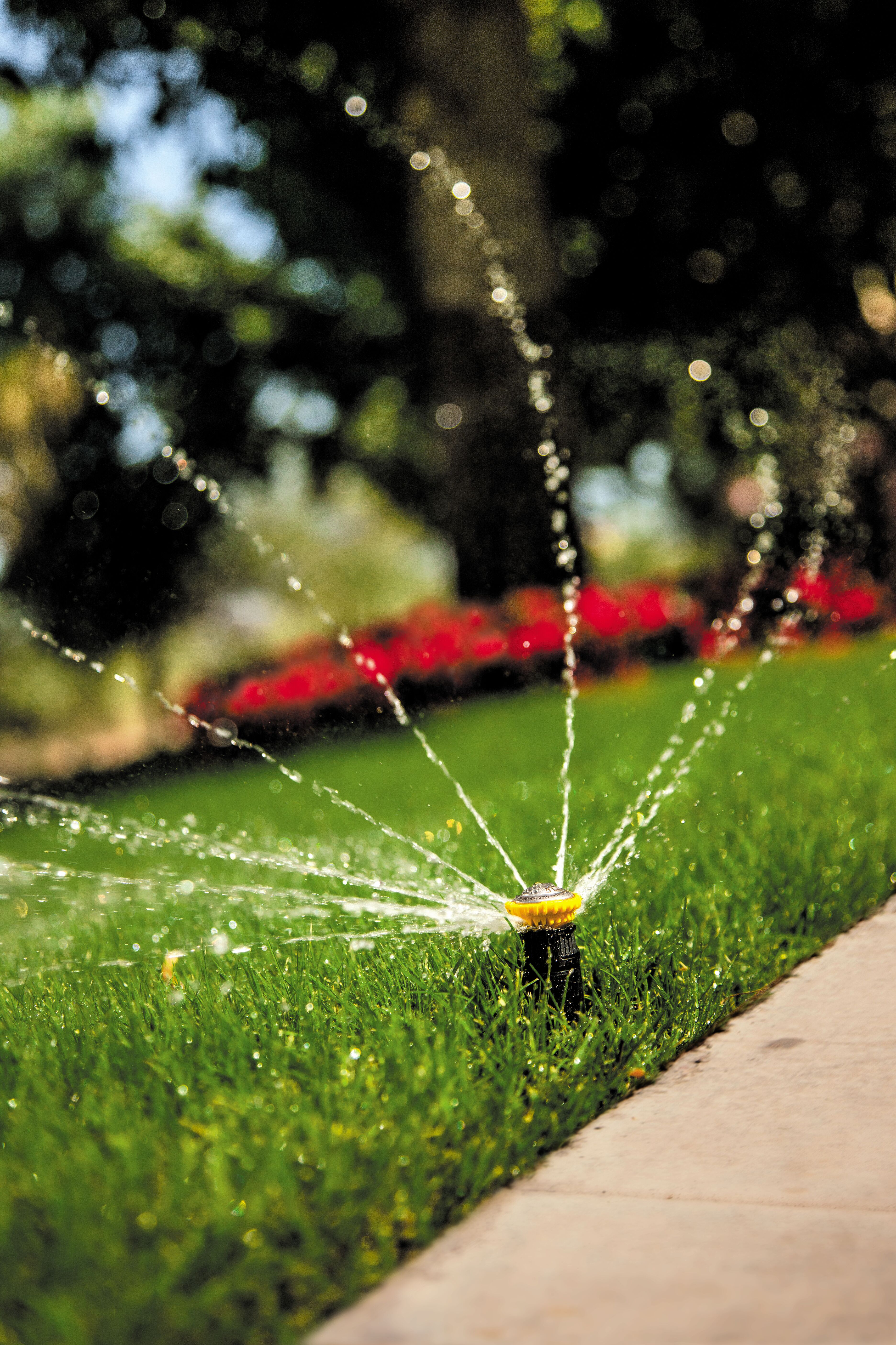 Beauty shot-RVAN1724