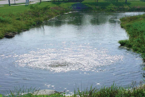 Otterbine subtrition Wasserqualität Belüfter